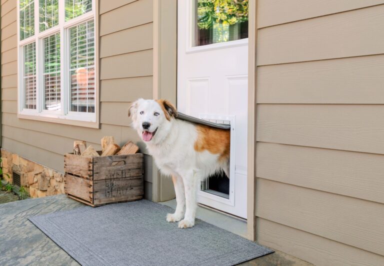 Exterior Doors with Dog Doors: A Practical Guide for Pet Owners